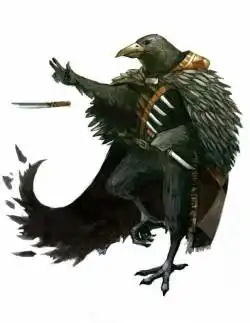 Aarakocra rogue dnd picaro